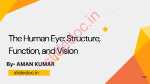 The Human Eye: Structure, Function, and Vision ppt by slidedoc.in